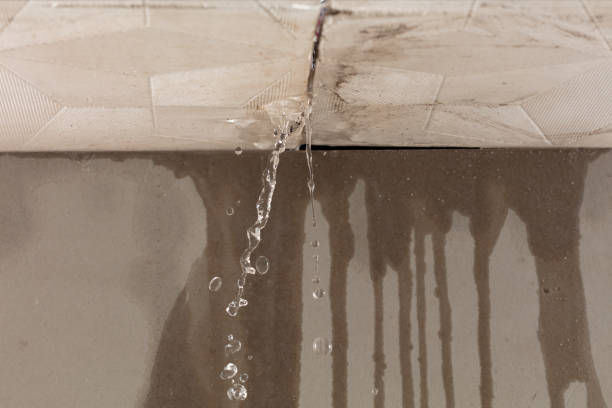 Professional Sewage Cleanup technician working in Truesdale, MO